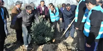 Müftü Kulaz, Hatıra Ormanına Ağaç Dikti