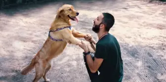 Sokak Hayvanlarına Mama Karşılığında Fotoğraf Çekiyor