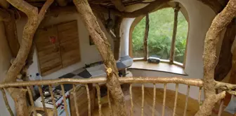 Hobbit Köyü Gibi Ama Gerçek: Low-Impact Woodland House