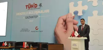 Tühid Anadolu Buluşmaları, Gaziantep Toplantısı