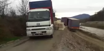 Tavuk Yüklü Tır Devrildi - Zonguldak