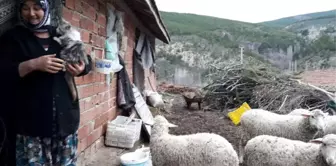 Başkan Rasim Daşhan: Üreticimizin Derdi Bizim Derdimizdir