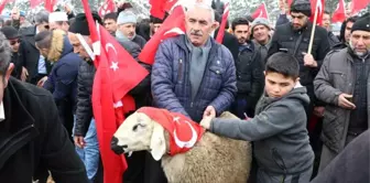 Mehmetçikler İçin Kurban Kesildi, Dua Edildi