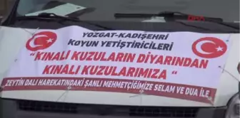 Yozgat-Yozgatlı Çobanlardan 'Zeytin Dalı Harekatı'na 41 Kınalı Kurban Hediye Edildi-hd