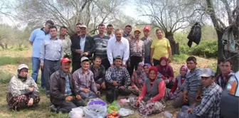 Burhaniye Belediyesinden Çiftçiye Destek