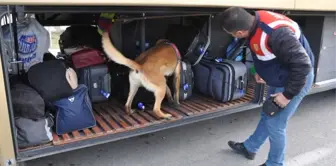 Jandarmadan Köpekli Yol Denetimi