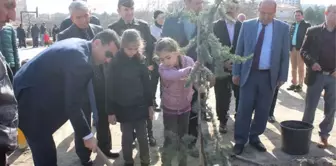 Kaymakamı Girgin, Anaokulu Öğrencileri ile Ağaç Dikimi Kampanyasına Katıldı