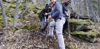 Zeytin Dalı Harekatı'na Destek İçin Yürüdüler