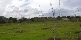 Üreticiler Yunusemre'yle Kalkınıyor