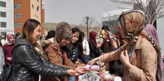 Neü'de Şivlilik Geleneği Sürdürüldü