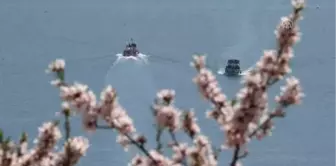 Çiçeklere Bürünen Akdamar Adası'na Ziyaretçi Akını