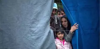 Avusturya'da Yaşayan Binlerce Türk Sınır Dışı Tehlikesi ile Karşı Karşıya