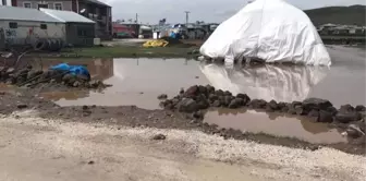 Dağpınar'da Yağmur Etkili Oldu