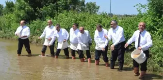 Bafra Ovası'nda Çeltik Tohumları Suyla Buluştu