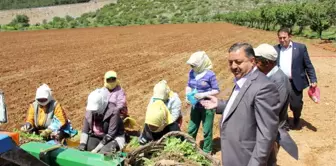 Baştuğ'dan Çiftçiler Günü Mesajı