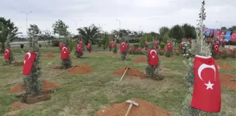 Afrin Şehitleri İçin Trabzon'da Hatıra Ormanı Oluşturuldu