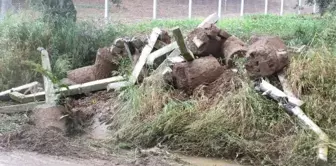 Balıkesir'de Sele Kapılan Çiftçi Hayatını Kaybetti