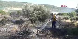 Çanakkale'de 100 Dönüm Makilik Alan Zarar Gördü-Hd