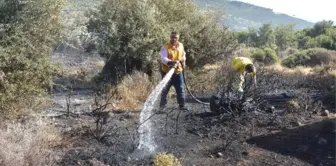 Çanakkale'de Makilik Yangını