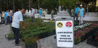 Alanya Belediyesi, 21 Mezarlıkta 42 Bin Çiçek Dağıtacak