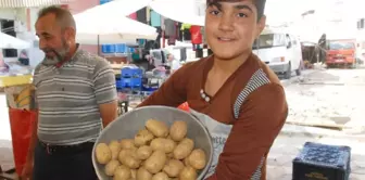 Tokat'ta Patates 2 Lira, Soğan 3 Liradan Satılıyor