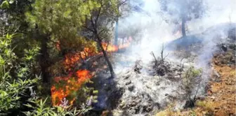 Anamur'da Orman Yangını