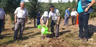 15 Temmuz Şehitleri ve Gazileri Anısına Fidan