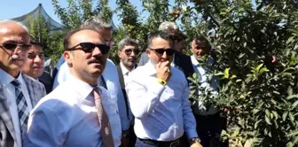 Bakan Pakdemirli, Yozgat'ta Meyve Bahçesini Gezdi