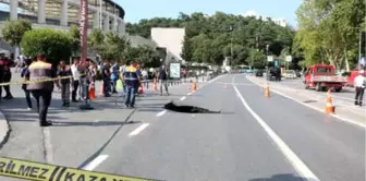 Ek Fotoğraf //  Dolmabahçe'de Yolda Çökme  (2)