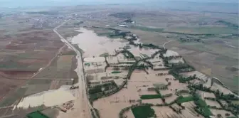 Evler Su Altında Kaldı, Hayvanlar Telef Oldu