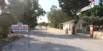 Arapdede Yolu Asfalta Kavuştu