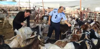 Aksu'da Bayram Öncesi Denetim