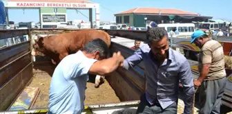 Aksaray Kurban Pazarında Arife Yoğunluğu