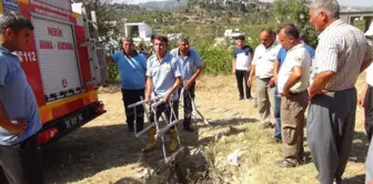 Çiftçilerin Üzümünü Yiyen Yavru Domuzu Düştüğü Kuyudan İtfaiye Kurtardı