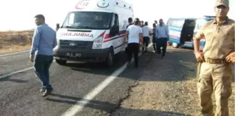 Şanlıurfa'da İki Otomobil Çapıştı: 5 Yaralı