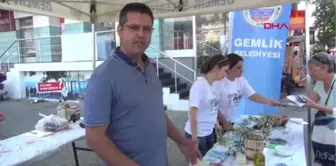 Yalova Gemlik Belediyesi, Yalova'da Vatandaşa Zeytin Dağıtarak Festivale Davet Etti