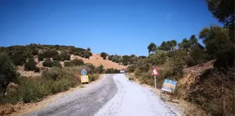 Büyükşehir Avcılar'ın Yolunu Yeniledi