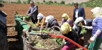 Baştuğ, 'Çiftçilerimize Zirai Alet Hibe Desteği Şart'