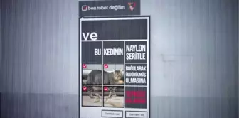 Vestel ve Regal'e 4 Kristal Elma