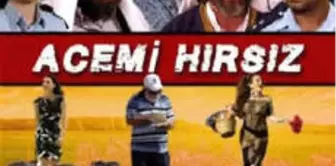 Acemi Hırsız Filmi