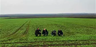 Tekirdağ Kanolada Ülke 1'incisi