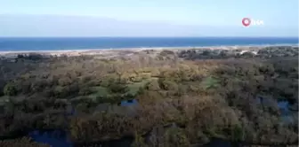 Karacabey Longoz'u Sonbaharda Havadan Görüntülendi