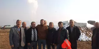 Kahramanmaraş'ta Şeker Pancarı Alımı Başladı