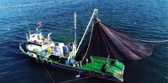 Doğu Karadenizli Balıkçılar Hamsiyi Batı Karadeniz'de Arıyor