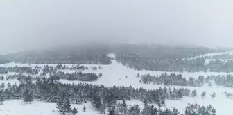 Doğuda Kar Hem Çile Hem Güzellik Getirdi