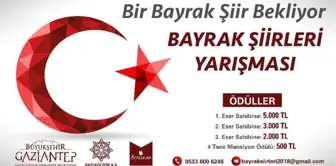 Bir Bayrak Şiir Bekliyor' Adlı Şiir Yarışması Sonuçlandı