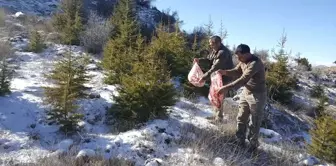 Karaman'da Hayvanlar İçin Doğaya Yiyecek Bırakıldı