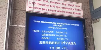 Fındık, Serbest Piyasada, TMO'nun Gerisinde Kaldı