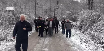 Buzda Kayan Otomobil Ağaçlık Alana Devrildi: 3 Yaralı