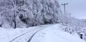 Fatsa'da Kırsalda Karla Mücadele